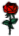 :rosa_si: