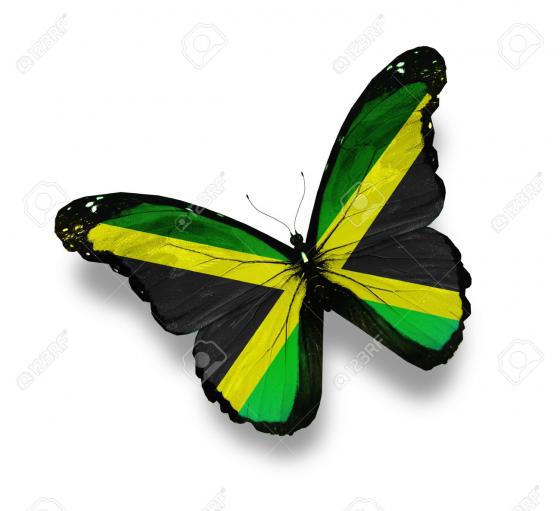 12874687-Mariposa-bandera-de-Jamaica-aislado-en-blanco-Foto-de-archivo.jpg