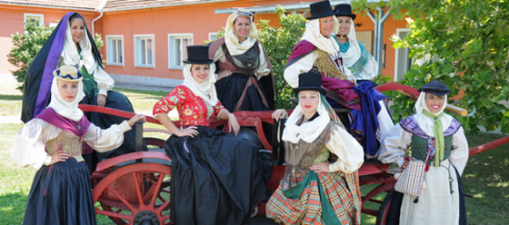 Echentive-Festival-folclore-en-Hungria-2012.png
