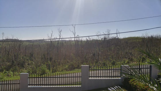 image.thumb.png.dd0648ed84e3e2f27f69157d8738556e.png