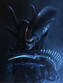 C5AB1728-47ED-4857-8EB8-3D8E53BF6CDC.jpeg.51525f76cc5e2d52c2b89eebb3c373c9.jpeg