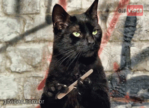 original.gif.fec6b6b6f7cbb6cd325ec50a8d6efc21.gif