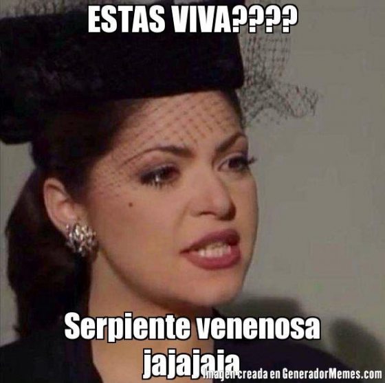 VIBO.jpg