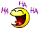 image.gif.56fbe4171c51762a8803376689c3a51c.gif