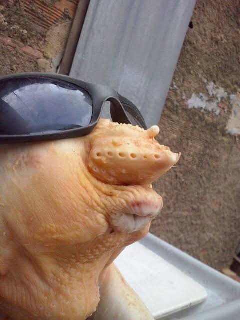 ***///... NO TENGO QUE DECIR DE DONDE SON ESTOS LABIOS... O SI?