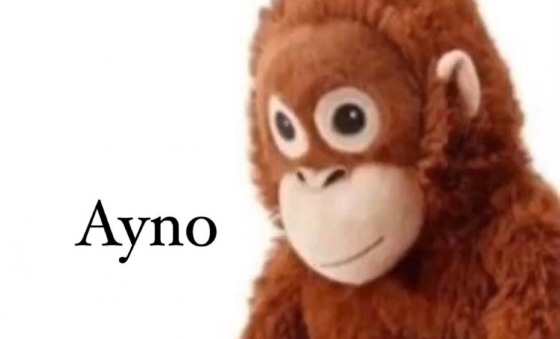 image.thumb.png.3c09085850a78eff2f792487d0315172.png