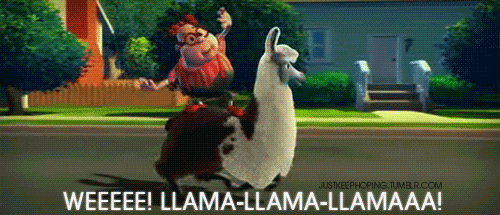 image.gif.64f384be5d3d38a0470e03b3c8f4b4aa.gif