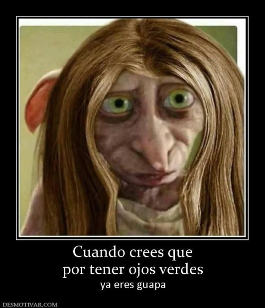 6c9e04f53a7362e73818840adbf17d9f.thumb.jpg.28110aad6a6df57be6c698a1799465c1.jpg