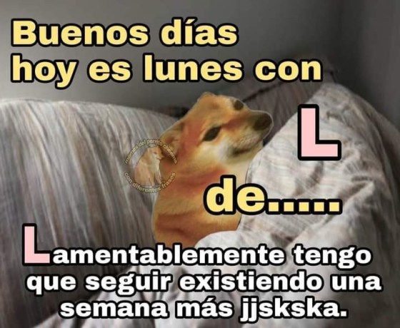 FB_IMG_1655174622666.thumb.jpg.fb4d42d1b233118248ca097e642cad7f.jpg