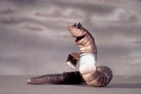 Earthworm.jpg.c66458ea887c555da03117301c3d9ec8.jpg