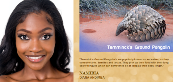 1a.png