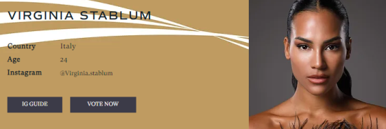 1a.png