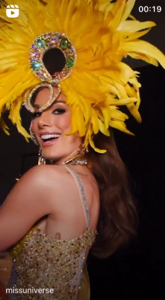 Sobre Miss Chile en pocas líneas.