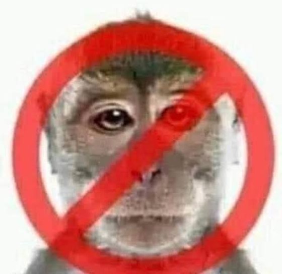 image.thumb.jpeg.1d85accb150b061814639faabdb4dc9f.jpeg