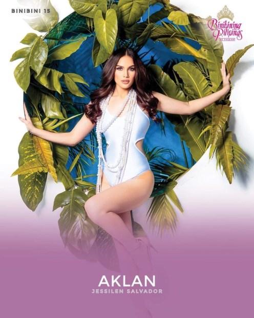 AKLAN.thumb.jpeg.f44035dc994cb579bf1bba23d03d2887.jpeg