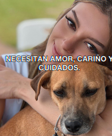 1aa.png.fd7f8b9e05225f6739e85029dcf97f71.png