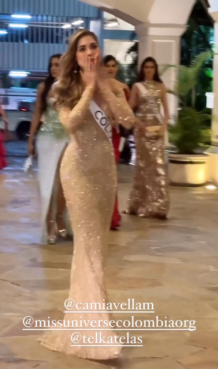 Vestido de gala de la Avieja