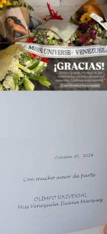 1aa.png.2884619acad40573fd3ee31ab513d61b.png