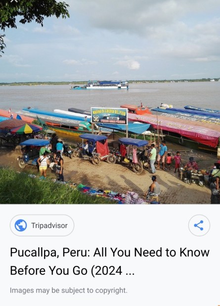 Screenshot_20241029_160314.thumb.jpg.14c95bd915c554247a988b1a46709fe1.jpg