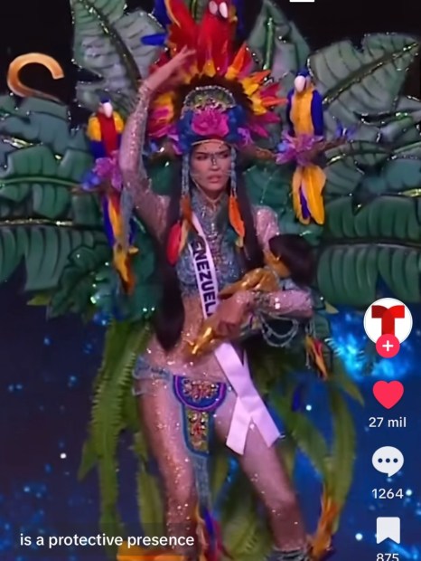 Screenshot_20241114_233931_TikTok.thumb.jpg.161e17cb3cec1bea995c305e93c63025.jpg