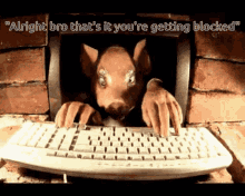 serpico.gif.082219038328f1c026cdd710c3c3907e.gif