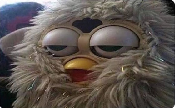 1778249311043613666923365156030.thumb.jpg.dccd7ab54ae819c576a42d69335123b3.jpg