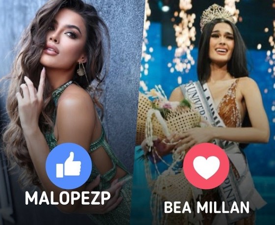 malolabea.jpg